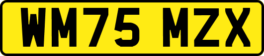 WM75MZX