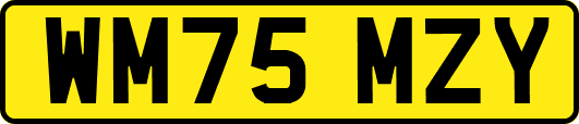 WM75MZY