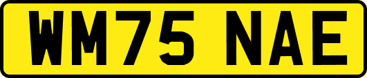 WM75NAE