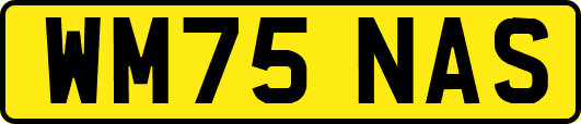 WM75NAS