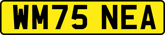 WM75NEA