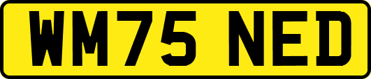 WM75NED