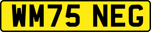 WM75NEG