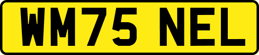 WM75NEL