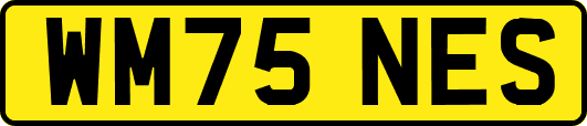 WM75NES