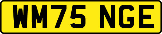 WM75NGE
