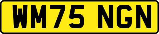 WM75NGN