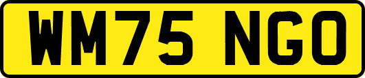 WM75NGO