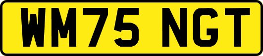 WM75NGT