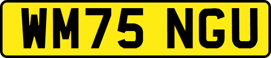 WM75NGU