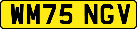 WM75NGV