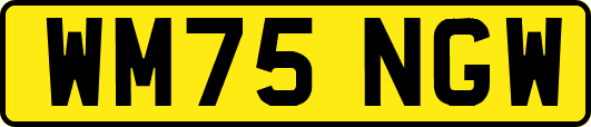 WM75NGW