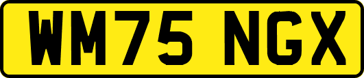 WM75NGX