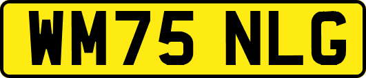 WM75NLG