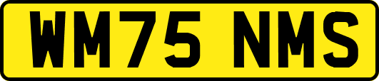 WM75NMS
