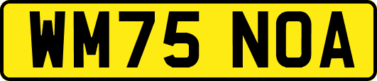 WM75NOA