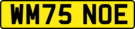 WM75NOE