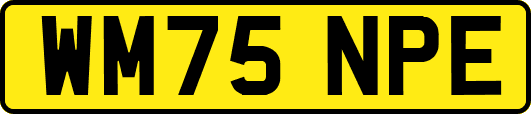 WM75NPE