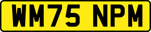 WM75NPM