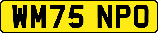 WM75NPO
