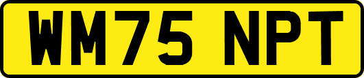 WM75NPT