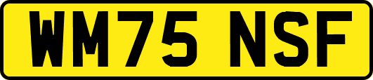WM75NSF