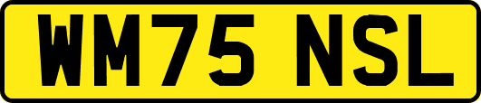 WM75NSL