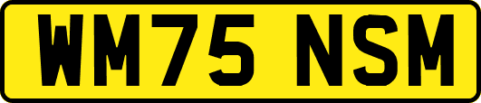 WM75NSM