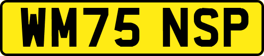 WM75NSP