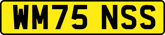 WM75NSS