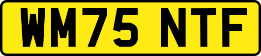 WM75NTF