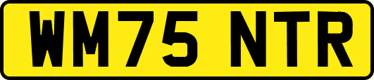 WM75NTR