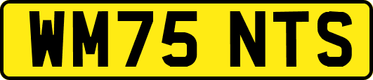 WM75NTS