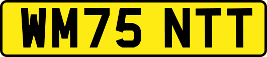 WM75NTT