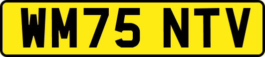 WM75NTV