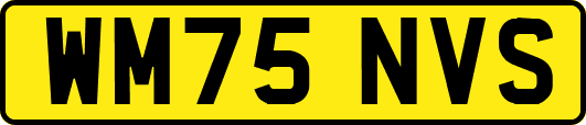 WM75NVS