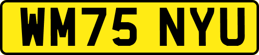WM75NYU