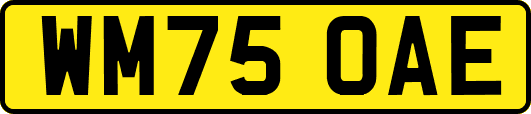 WM75OAE