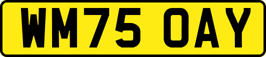 WM75OAY