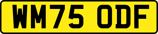 WM75ODF