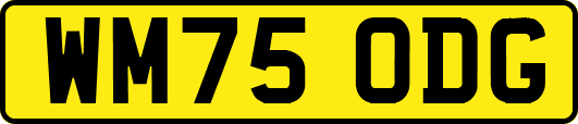 WM75ODG