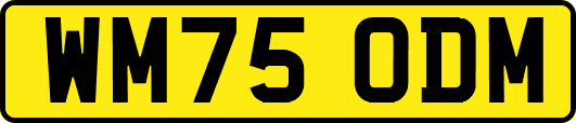 WM75ODM