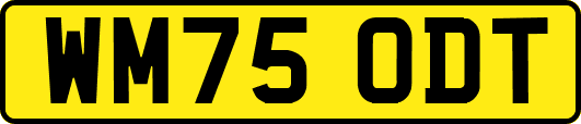 WM75ODT