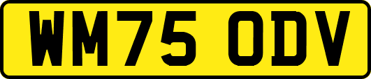 WM75ODV