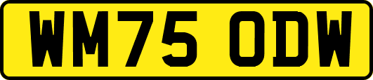 WM75ODW