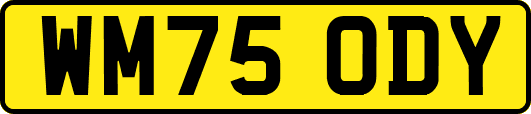 WM75ODY