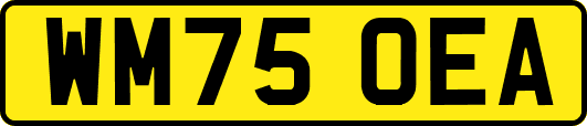 WM75OEA