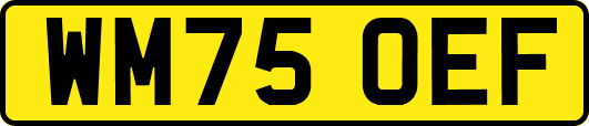 WM75OEF