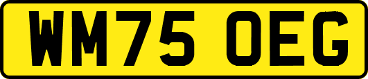 WM75OEG