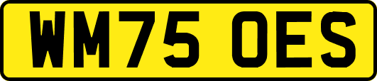 WM75OES